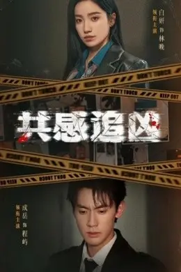 共感追凶海报图片