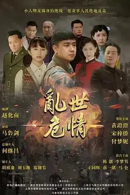 乱世危情封面图