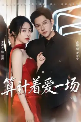算计着爱一场封面图
