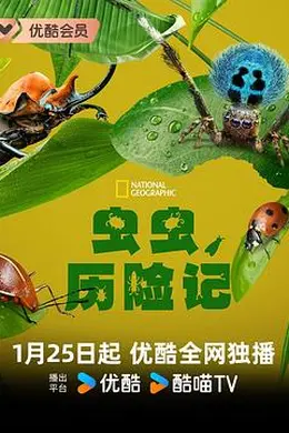 虫虫历险记封面图