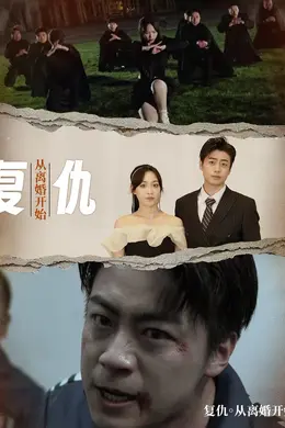 复仇从离婚开始封面图