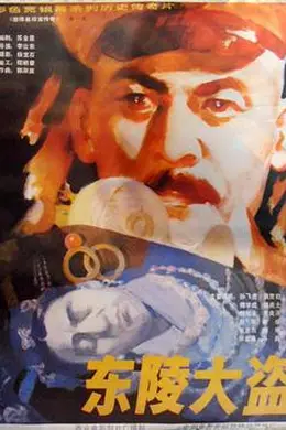 东陵大盗封面图