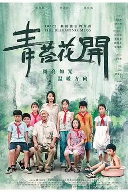 青苔花开封面图