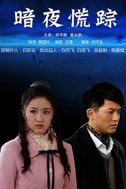 暗夜慌踪封面图