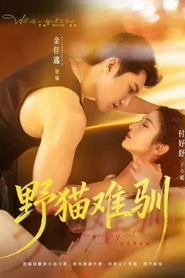 野猫难驯海报图片
