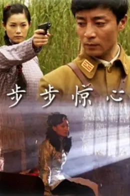 步步惊心（2010）封面图