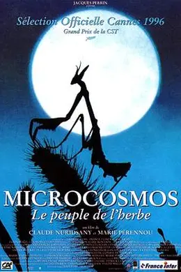 微观世界封面图