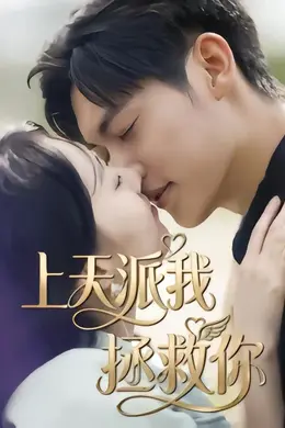 上天派我拯救你封面图