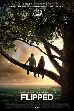 怦然心动国语封面图