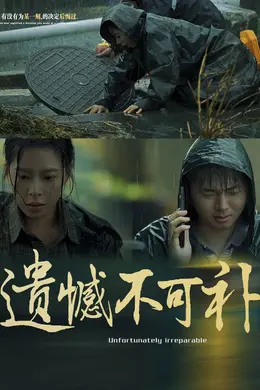 遗憾不可补海报图片