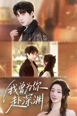 我曾为你赴深渊封面图