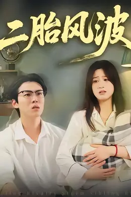 二胎风波封面图