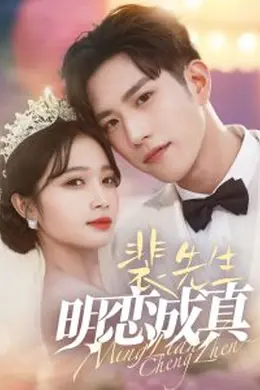 裴先生明恋成真海报图片