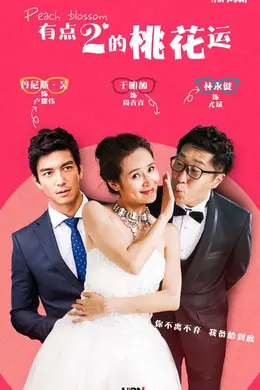 有点2的桃花运封面图