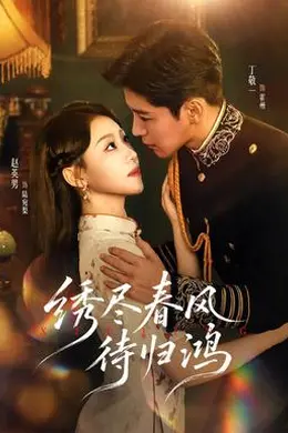 绣尽春风待归鸿封面图