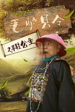 毛驴县令之草鞋公主封面图