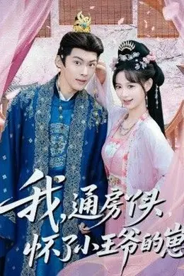 我通房丫头怀了小王爷的崽海报图片