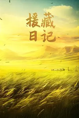 援藏日记封面图