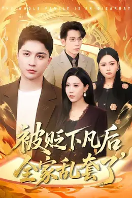 被贬下凡后全家乱套了海报图片