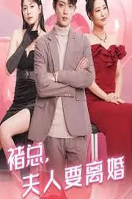 褚总夫人要离婚海报图片