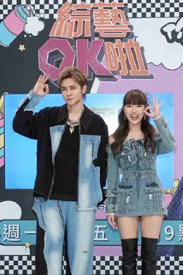 综艺OK啦海报图片