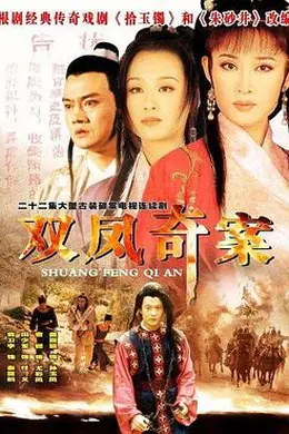 双凤奇案封面图