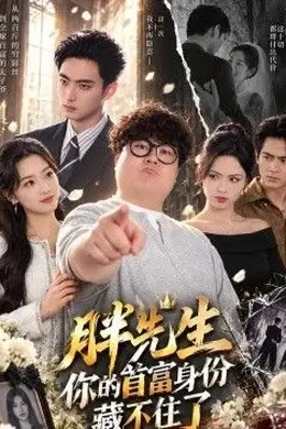 胖先生，你的首富身份藏不住了封面图