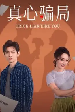 真心骗局海报图片