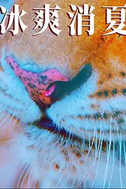 寒冰白血封面图