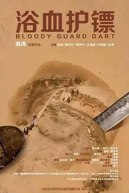 浴血护镖封面图