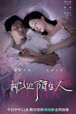 枕边陌生人封面图