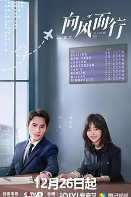 向风而行封面图