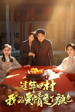 过年回村我的爱情变了颜色海报图片