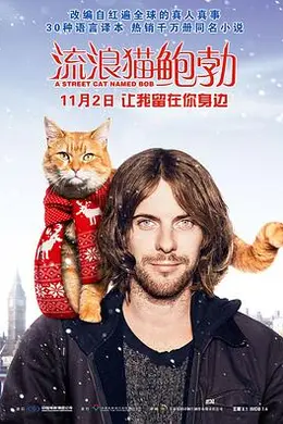 流浪猫鲍勃国语封面图