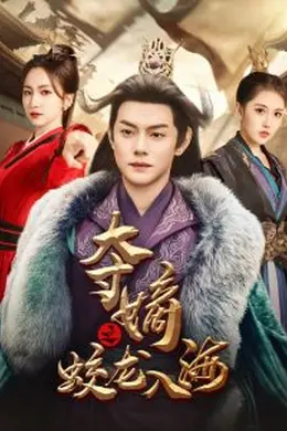 夺嫡之蛟龙入海海报图片