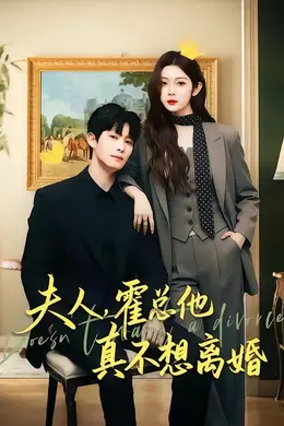 夫人，霍总他真不想离婚封面图
