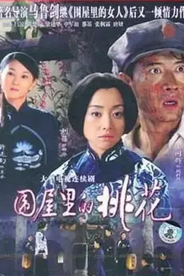 围屋里的桃花封面图