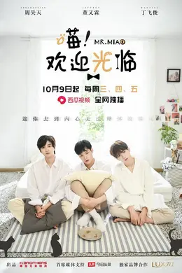 喵！欢迎光临封面图