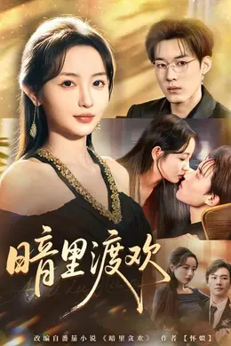 暗里渡欢封面图