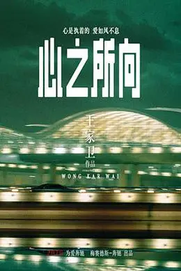 心之所向封面图