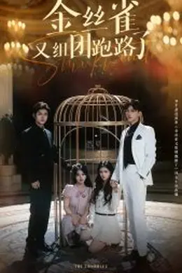 金丝雀又组团跑路了海报图片