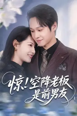 惊！空降老板是前男友封面图