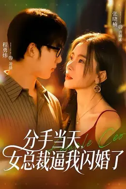 分手当天，女总裁逼我闪婚了海报图片