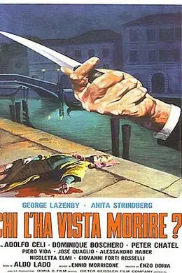 谁看见她死去？封面图