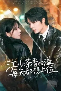 江少茶香四溢，每天都想上位封面图