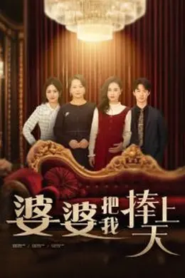 婆婆把我捧上天海报图片
