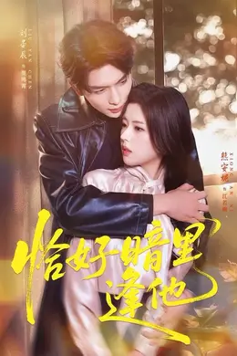 恰好暗里逢他封面图