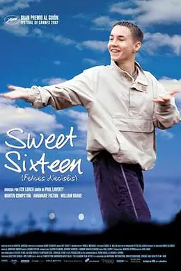 甜蜜十六岁封面图