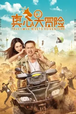 真心遇上大冒险封面图