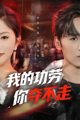 我的功劳，你夺不走海报图片